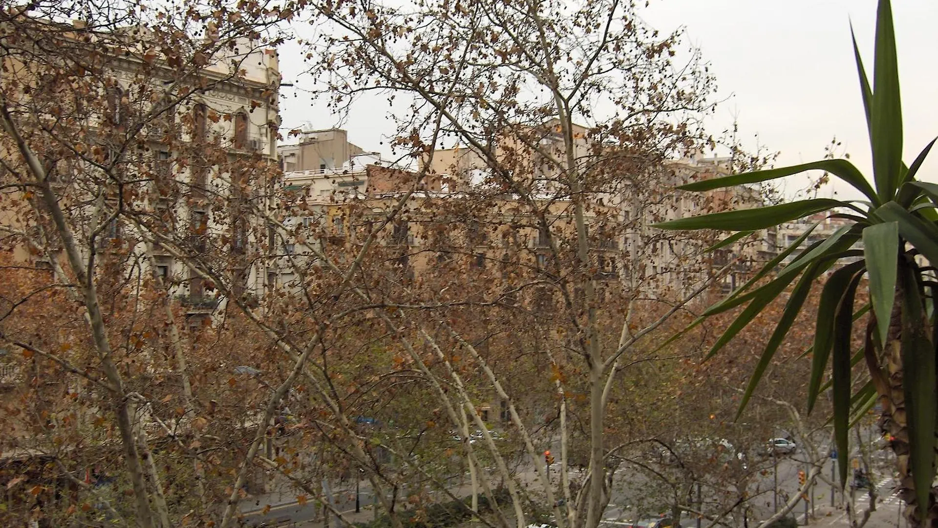 بيت شباب Des Artistes برشلونة